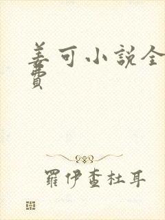 姜可小说全文免费封面