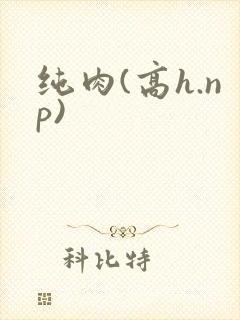 纯肉(高h.np)