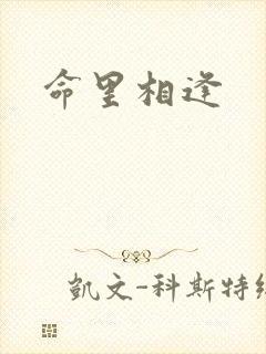 命里相逢