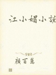 江小媚小说封面