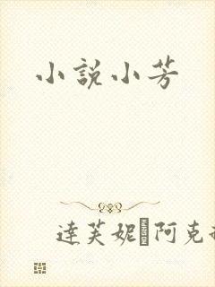 小说小芳