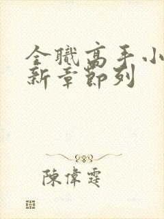 全职高手小说最新章节列