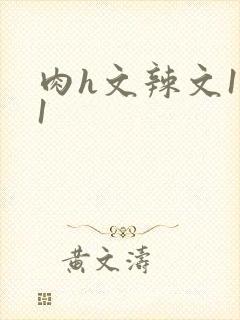 肉h文辣文1v1封面