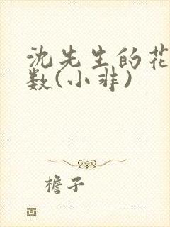 沈先生的花式调数(小非)