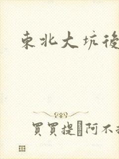 东北大坑后续2封面