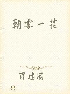 朝雾一花封面