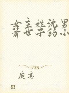 女主姓沈男主姓萧世子的小说