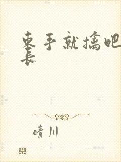 束手就擒吧韩队长