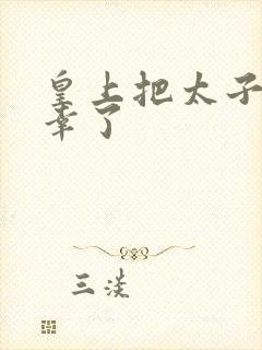 皇上把太子妃宠幸了封面