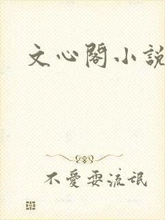 文心阁小说