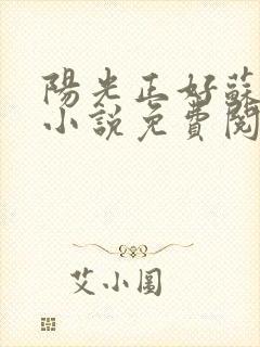 阳光正好苏玥玥小说免费阅读无弹窗