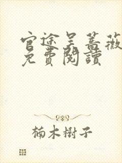 官途吴蔷薇全文免费阅读