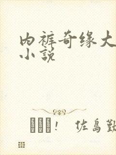 内裤奇缘大团结小说