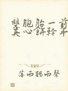 双胞胎一前一后夹心饼干年下封面