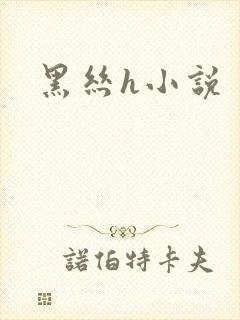 黑丝h小说