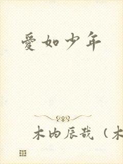爱如少年封面