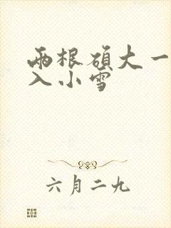 两根硕大一起挤入小雪