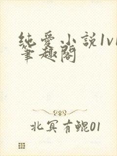 纯爱小说1v1笔趣阁