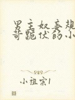 男主奴妾规矩严苛跪伏的小说