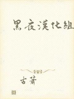 黑夜汉化组