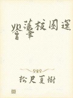 yn荡校园运动会笔