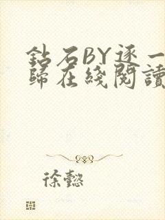 钻石BY逐一而归在线阅读封面