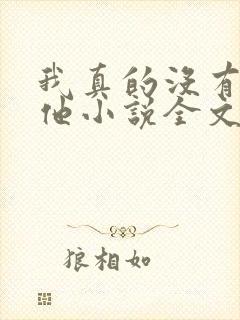 我真的没有引诱他小说全文免费阅读笔趣阁封面