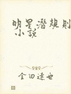 明星潜规则之皇 小说