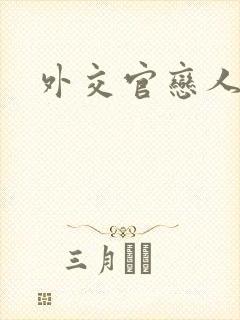 外交官恋人小说