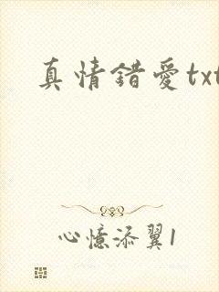 真情错爱txt封面