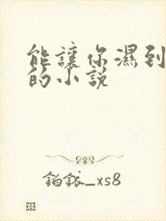 能让你湿到不行的小说