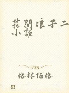 花间浪子二十部小说