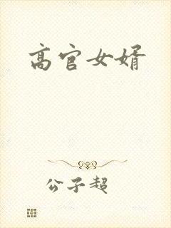 高官女婿