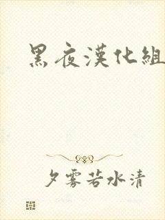 黑夜汉化组封面