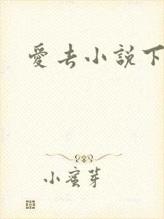 爱去小说下载网