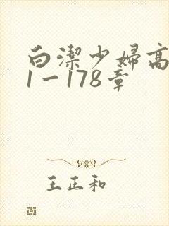 白洁少妇高义第1一178章封面