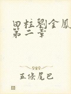 田柱刘金凤小说第二章封面