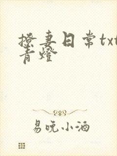 撩妻日常txt青灯