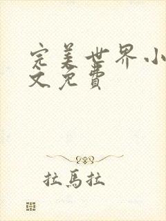 完美世界小说全文免费封面