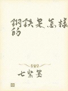 钢铁是怎样练成的封面