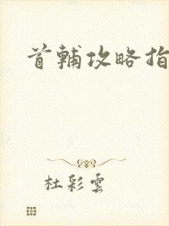 首辅攻略指南封面