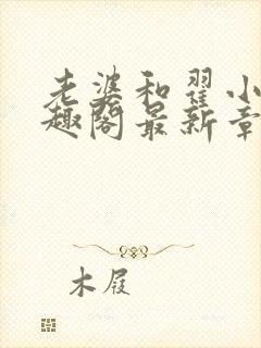 老婆和翟小说笔趣阁最新章节列表