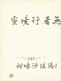 灵境行者无错字封面