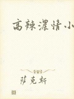 高辣浓情小说封面