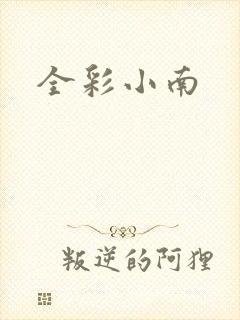 全彩小南封面