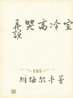 弄哭高冷室友小说封面