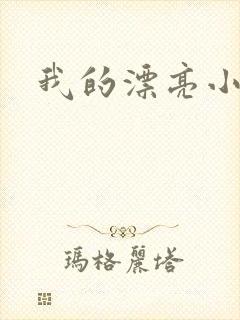 我的漂亮小后妈