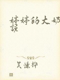 婷婷的大奶子小说