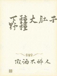 下种大肚子怀孕野种