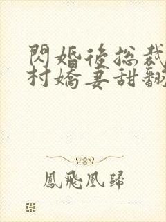 闪婚后总裁的农村娇妻甜翻了小说封面